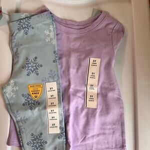 Cat & Jack Toddler Girls Size 2T Long Sleeve Top and pants set outfit NWT!